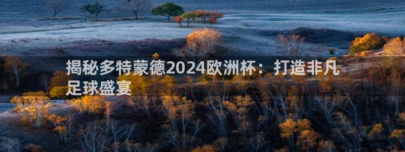 欧洲杯最新赛程：揭秘多特蒙德2024欧洲杯：打造非凡
足球盛宴