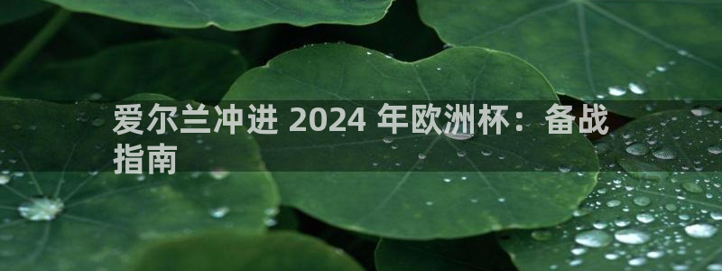 欧洲杯靠谱买球平台：爱尔兰冲进 2024 年欧洲杯：备战
指南