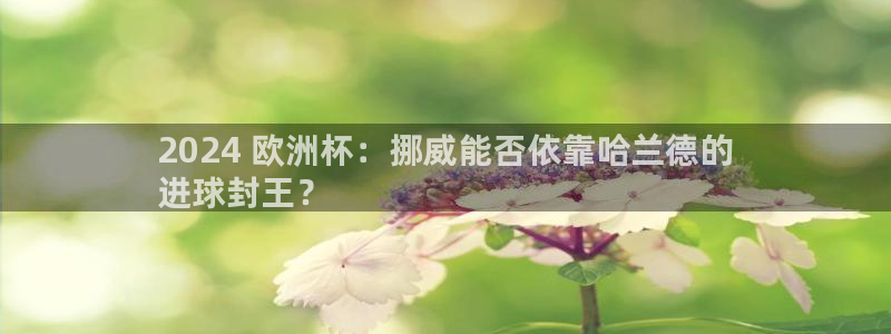 足球赌注平台app|2024 欧洲杯：挪威能否依靠哈兰德的
进球封王？