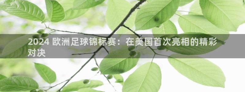 欧洲杯指定投注网站|2024 欧洲足球锦标赛：在美国首次亮相的精彩
对决