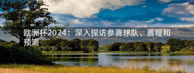 怎么买欧洲杯|欧洲杯2024：深入探访参赛球队、赛程和
预测