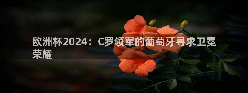 买欧洲杯的竞猜在那个app|欧洲杯2024：C罗领军的葡萄牙寻求卫冕
荣耀