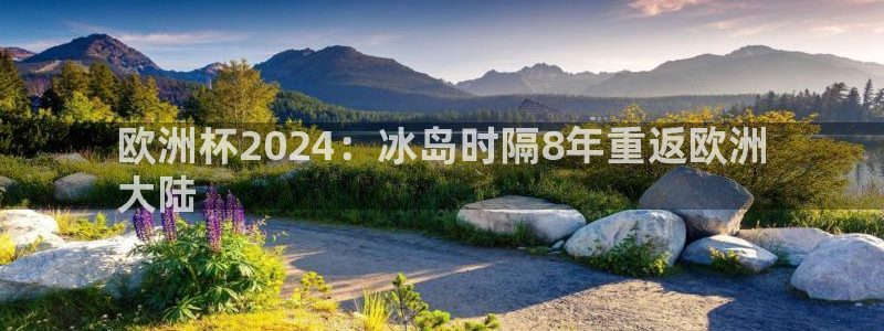 十大靠谱外围买球网站|欧洲杯2024：冰岛时隔8年重返欧洲
大陆